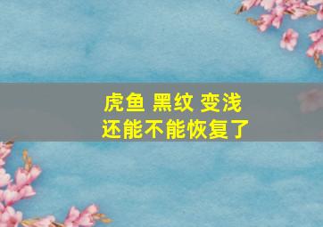 虎鱼 黑纹 变浅 还能不能恢复了